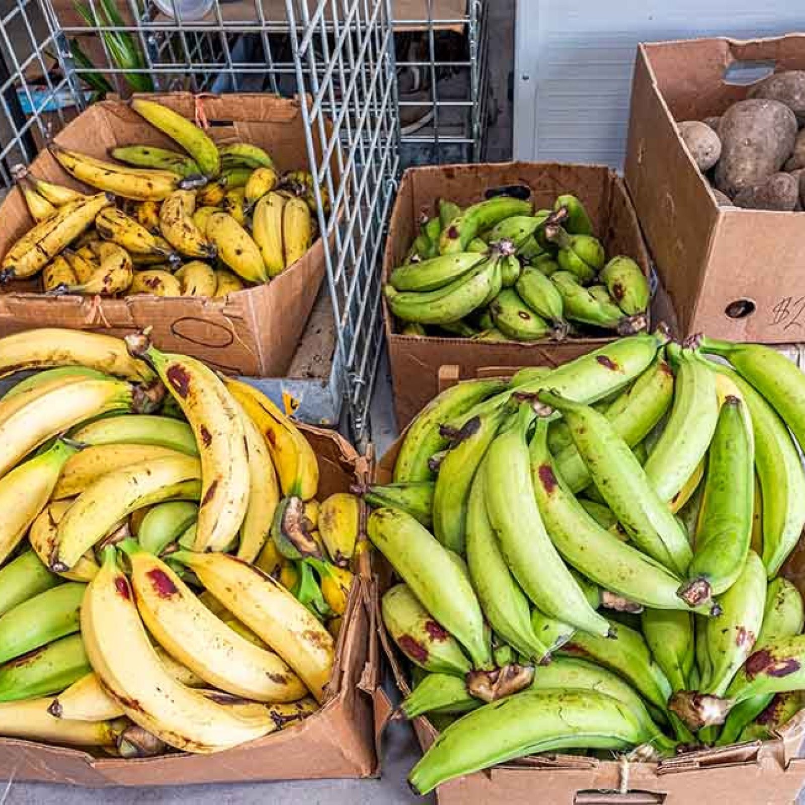 Ferreteria-Agricola-Lozada-18