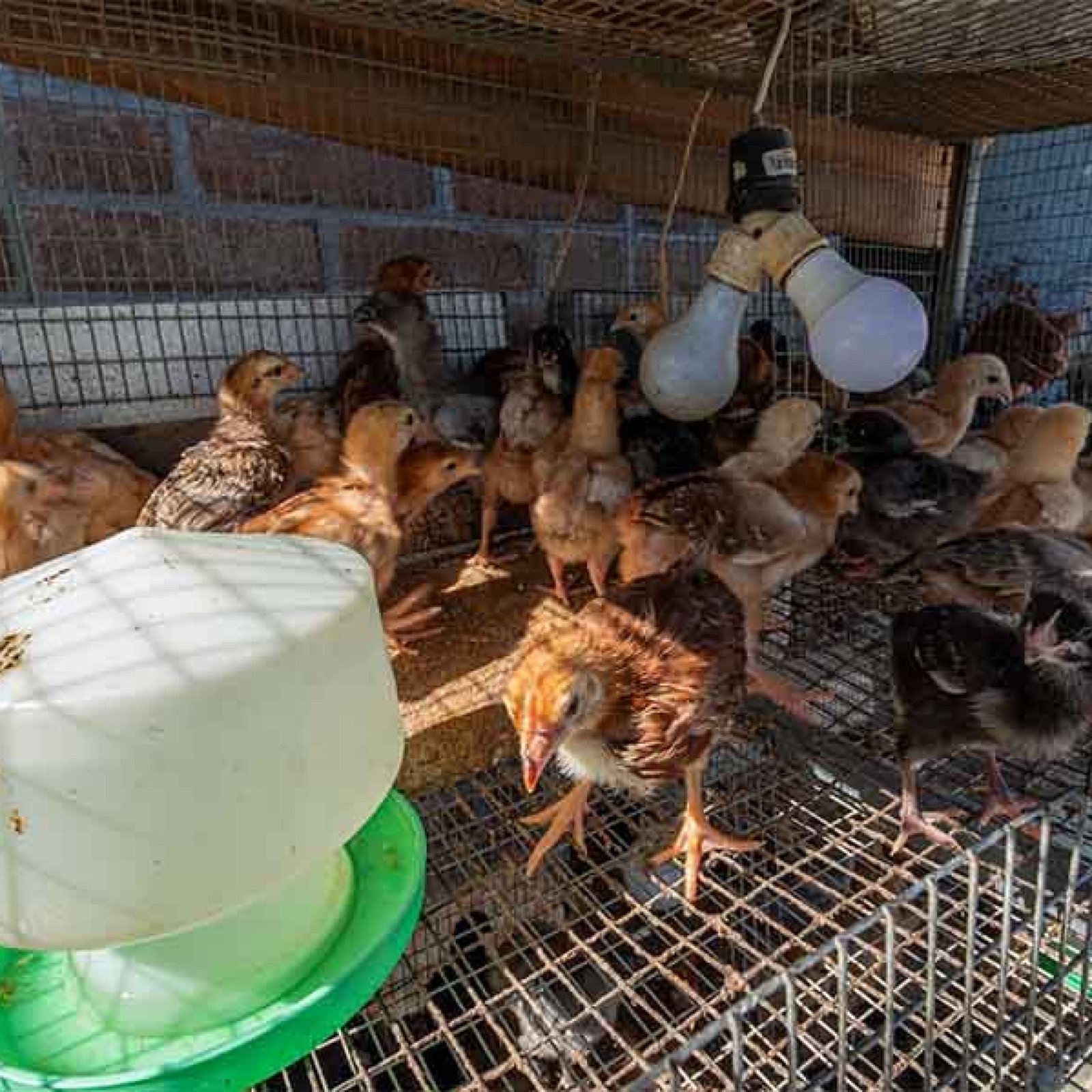 Ferreteria-Agricola-Lozada-3-1